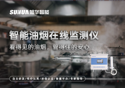 智能油烟在线监测仪：看得见的油烟，管得住的安心